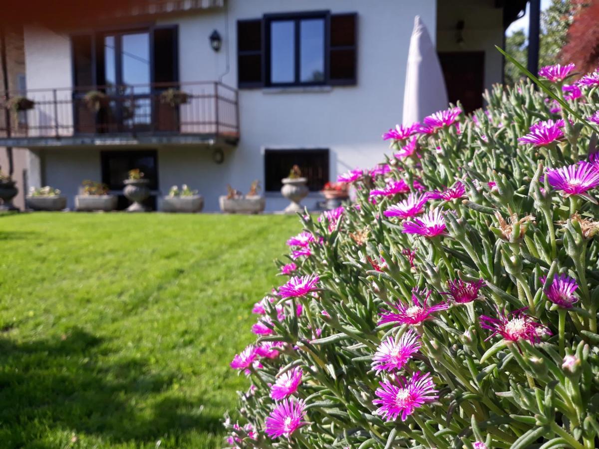 Villa Giardino Dervio Zewnętrze zdjęcie